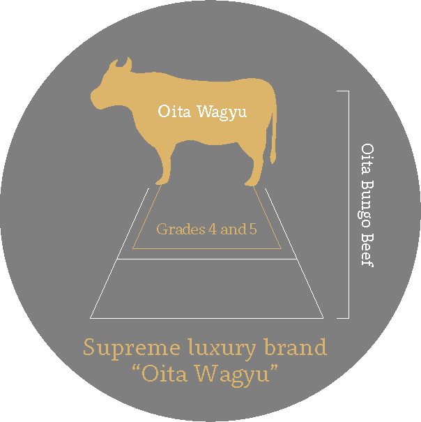 wagyu