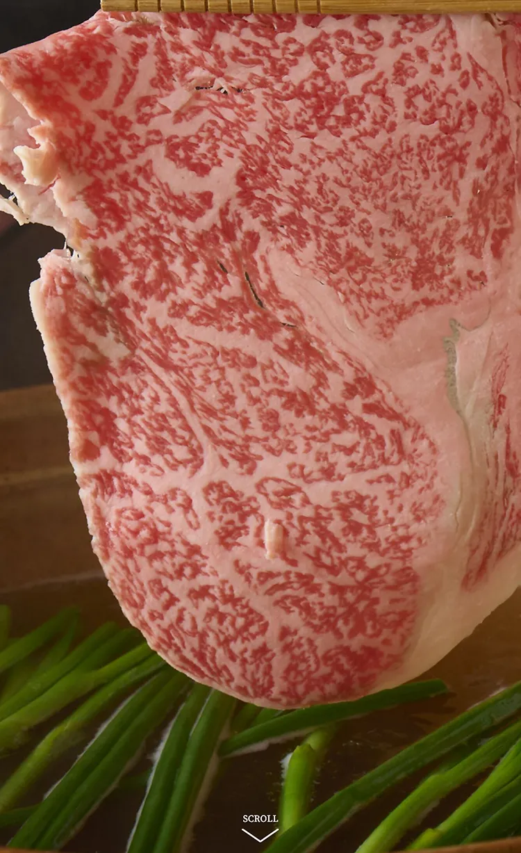 和牛料理 | おおいた和牛 ～百年の恵み～ | 新しい大分県産和牛ブランド